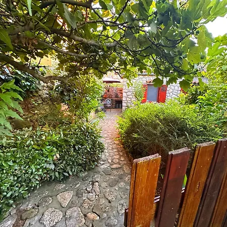 Cvita - Garden Hideaway Veli Lošinj