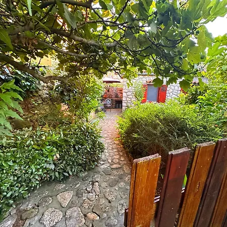Cvita Veli Losinj