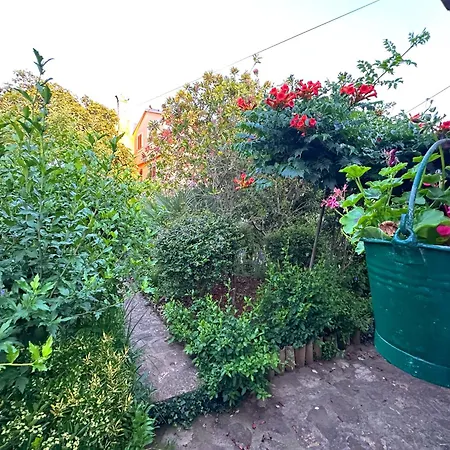 Cvita - Garden Hideaway