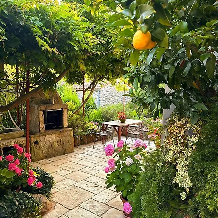 Cvita - Garden Hideaway