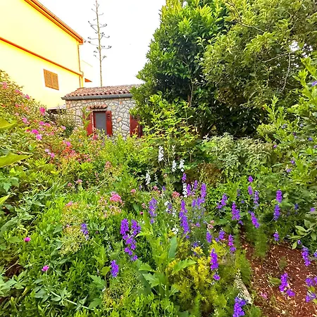 Cvita Apartment