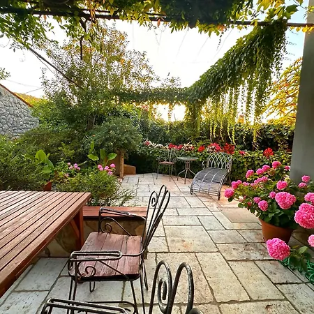 Apartment Cvita