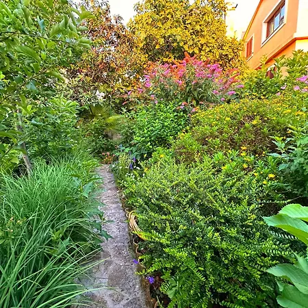 Apartament Cvita - Garden Hideaway Veli Lošinj