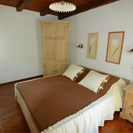 Apartment Cvita *