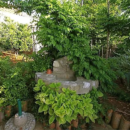 Cvita - Garden Hideaway