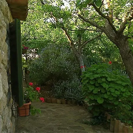 Cvita - Garden Hideaway Apartament *