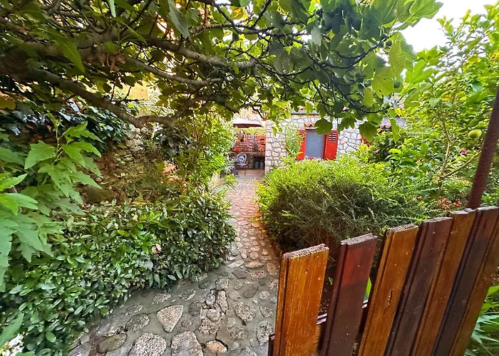 Cvita Veli Lošinj